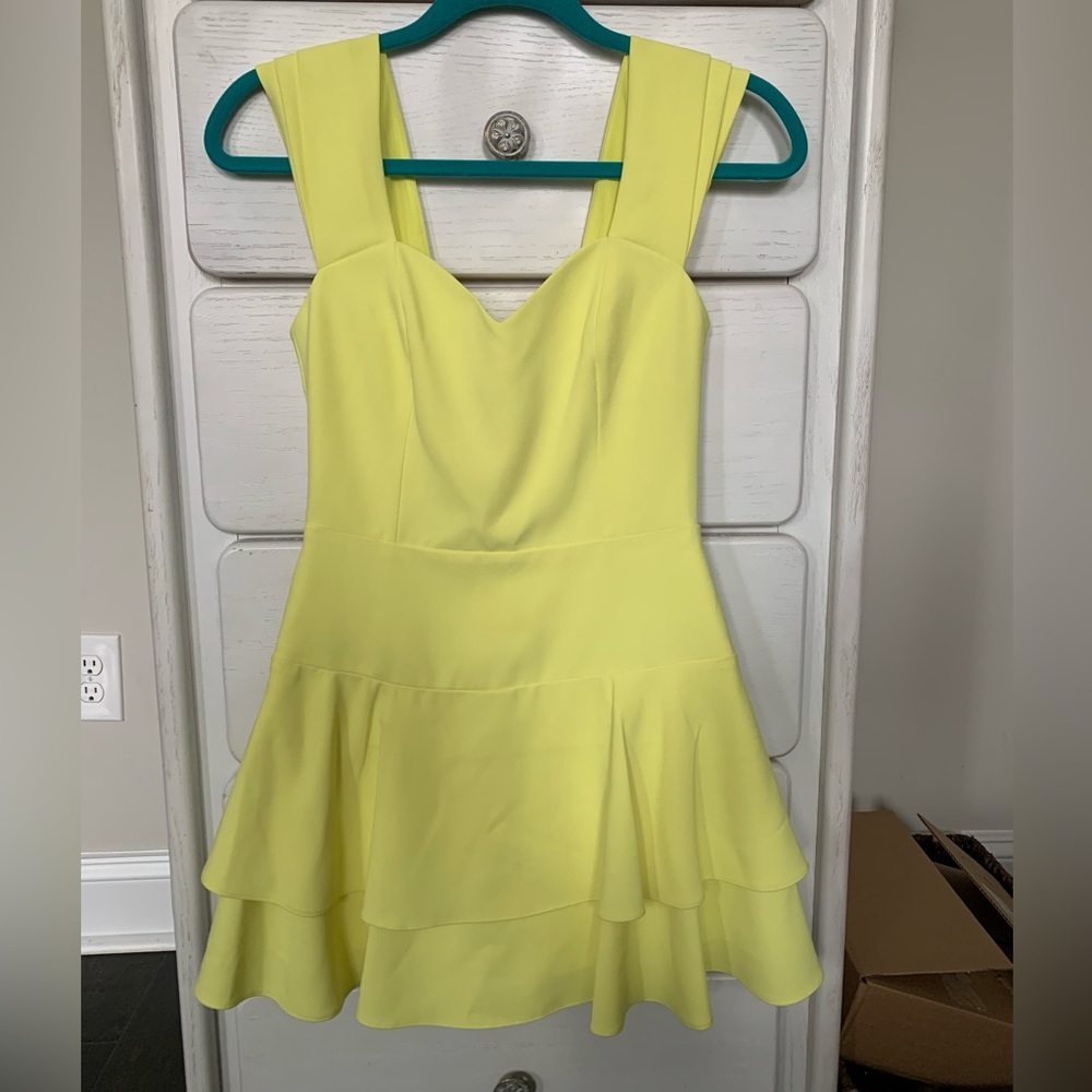 Alice & Olivia NWT Brinda Dress Size 0